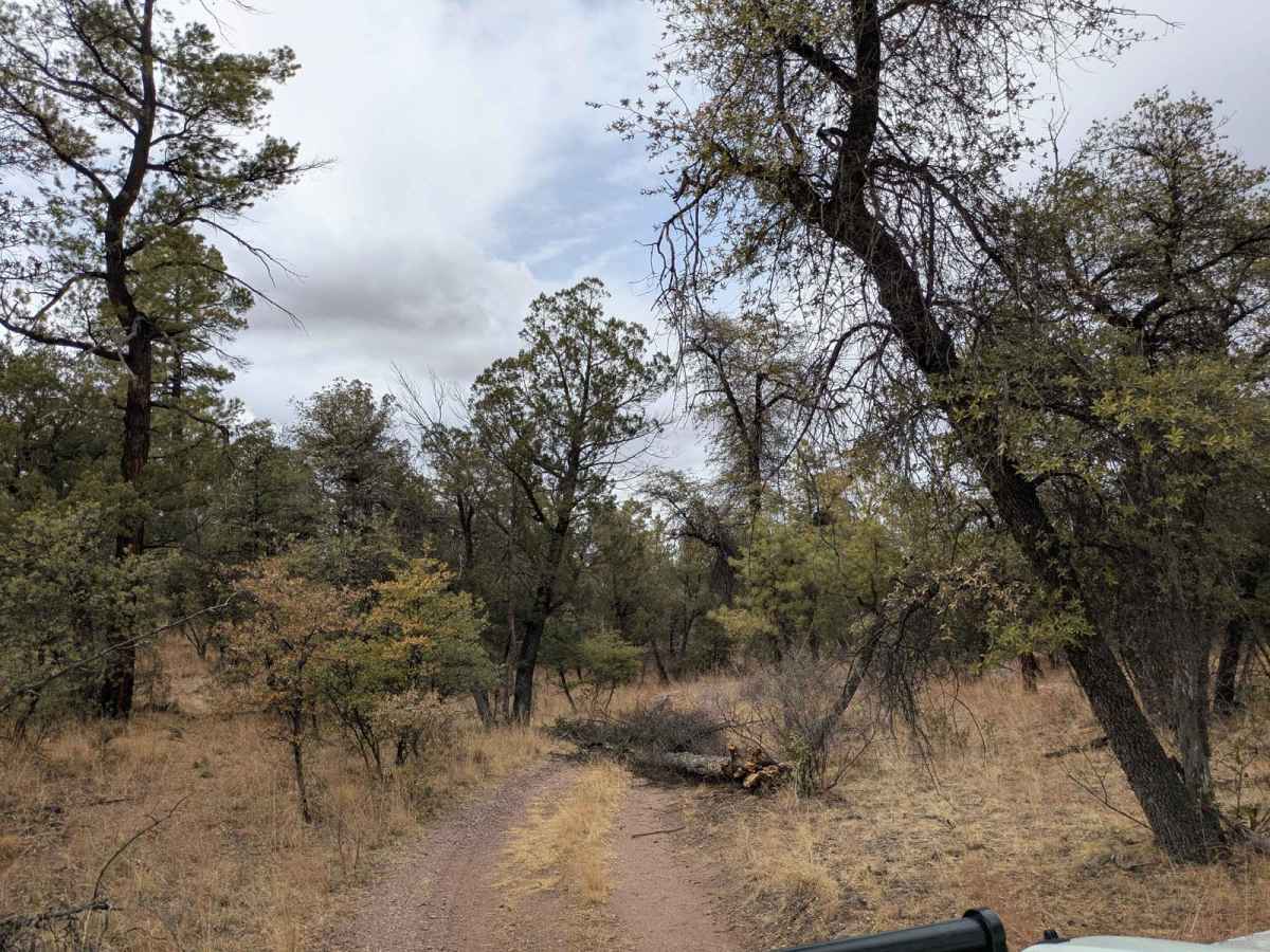 4633A trail photo