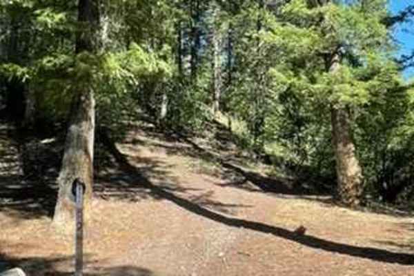 Crestline trail - Bell Marsh Creek