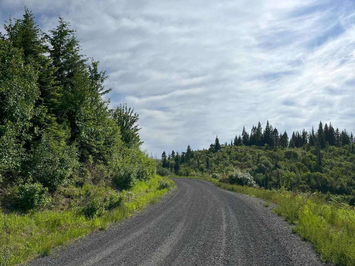 Bovill - Hemlock Butte photo 6
