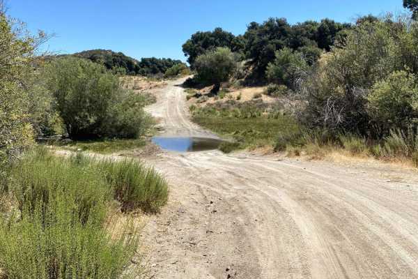 Old El Compadre Loop