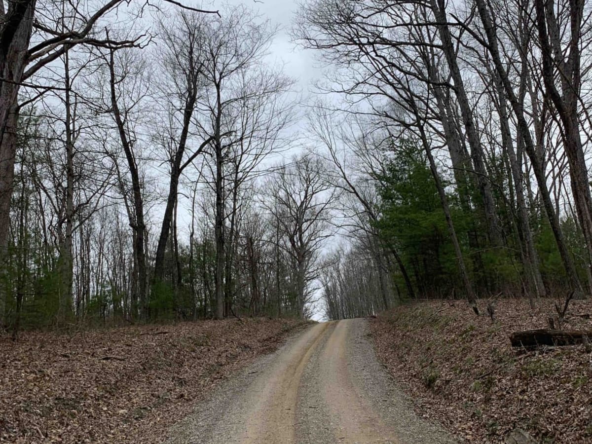 Ridgeview Road - Subarus Paradise photo 6