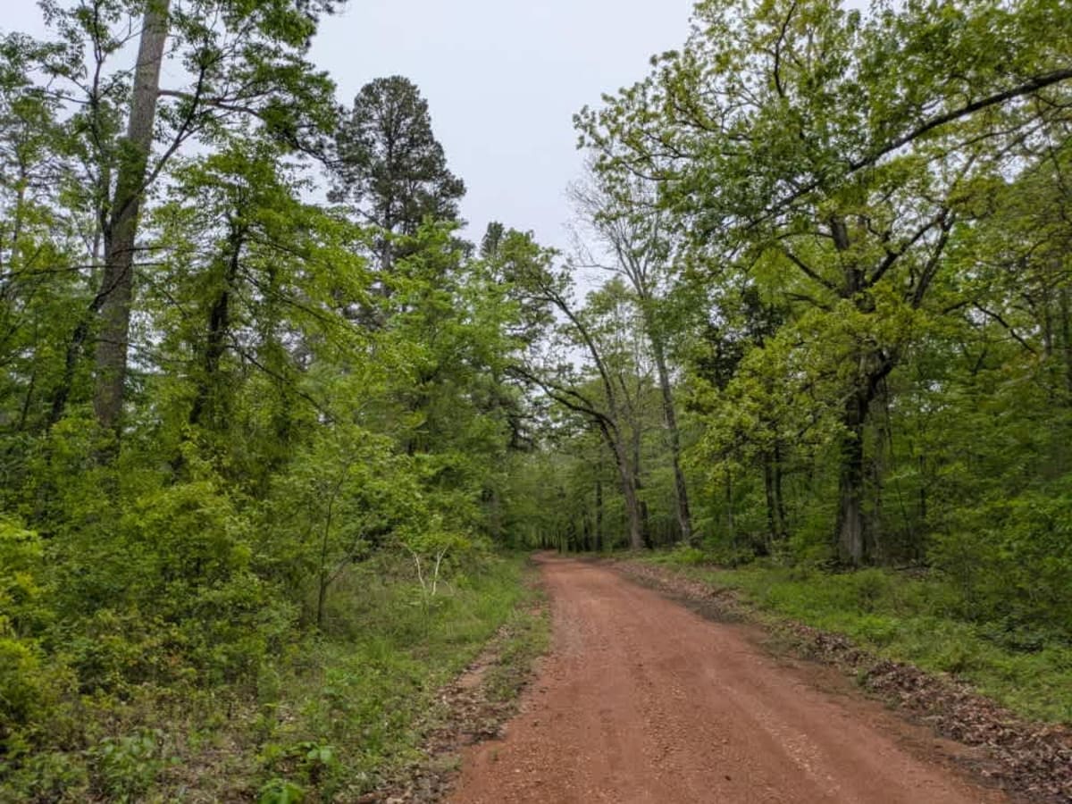 1129a trail photo