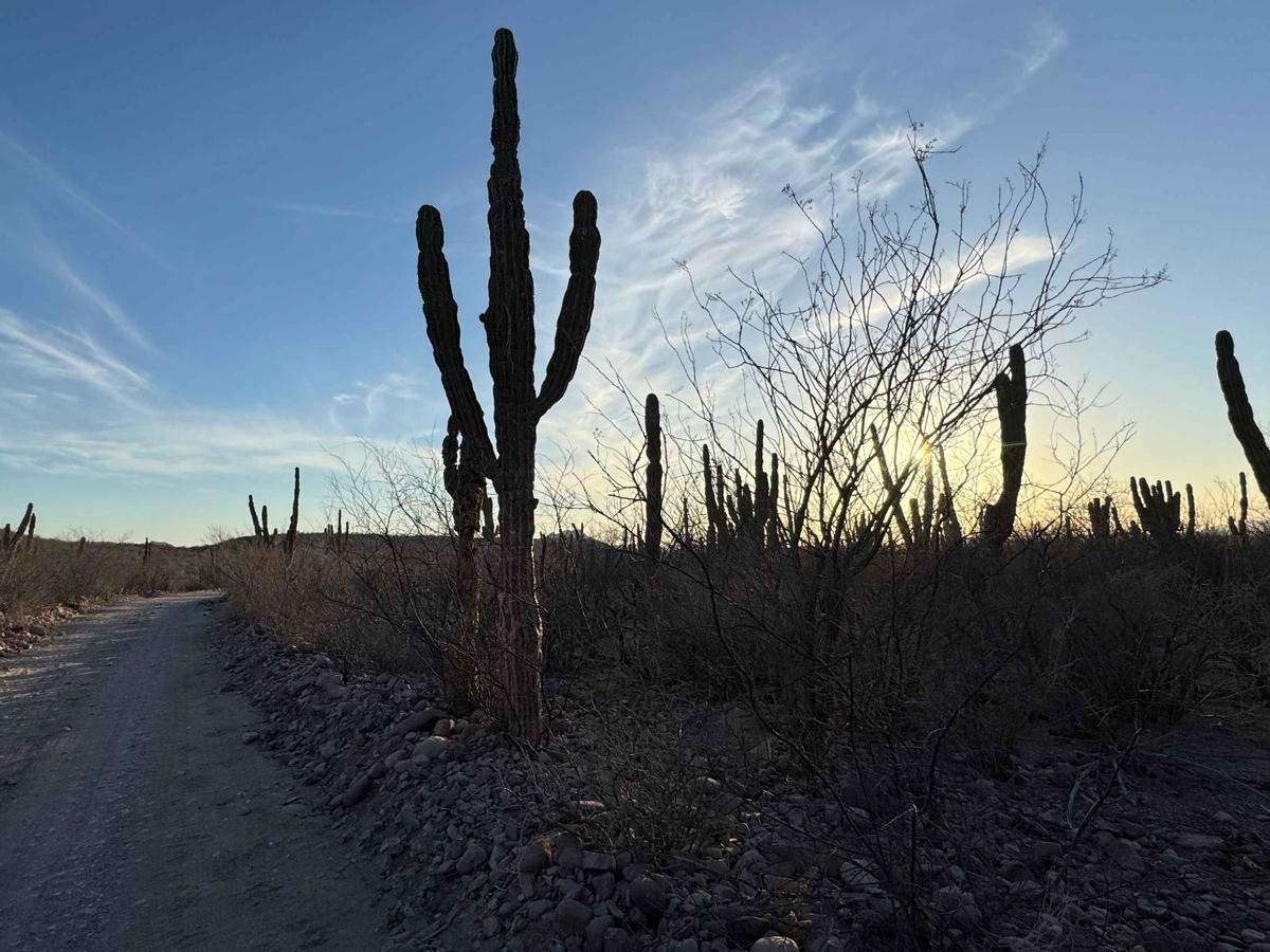 Rancho La Palma trail photo