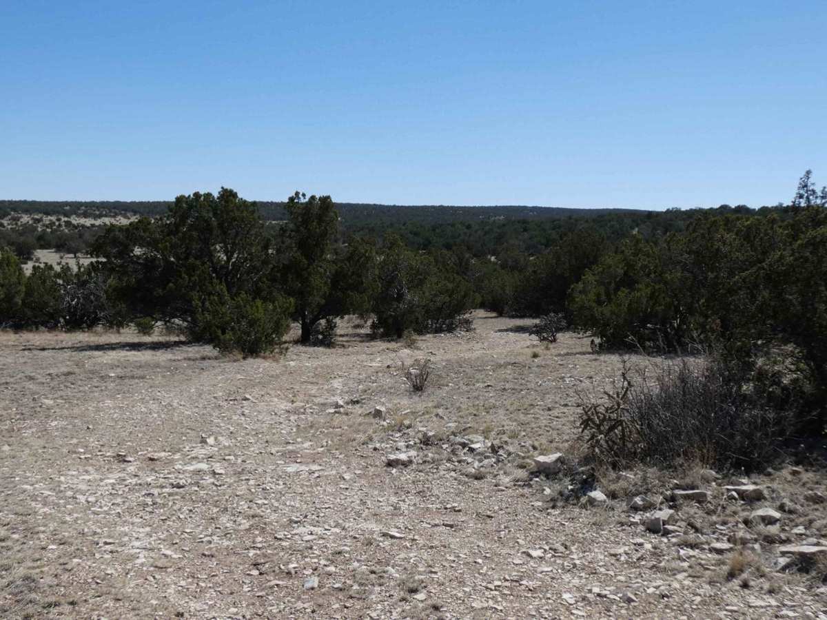 Crooked Canyon photo 4