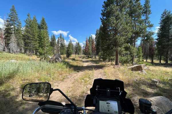 Sample Meadow Campground
