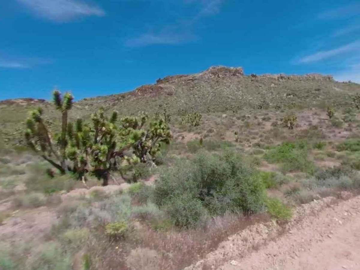 Water Trough Road-BLM30084 photo 5