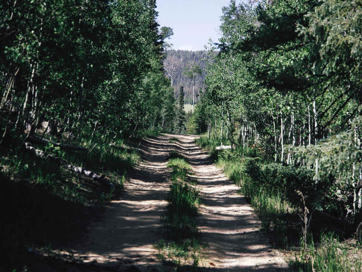 Tater Canyon photo 3
