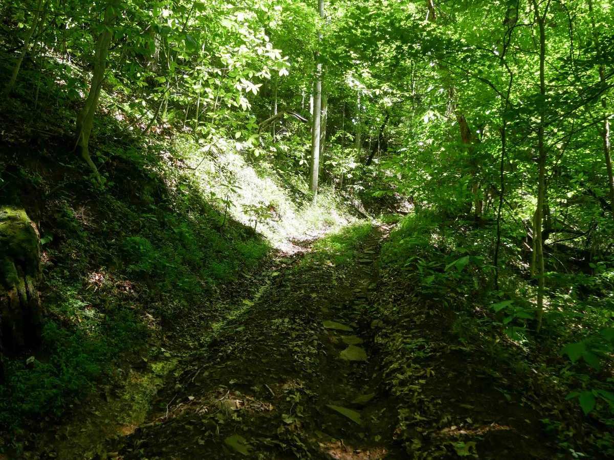 CC59 photo 2