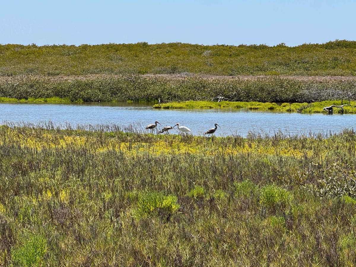 La Florida Lowlands trail photo
