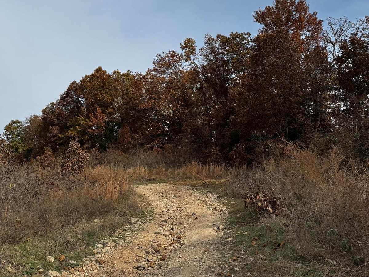 Trike Flat Track trail photo