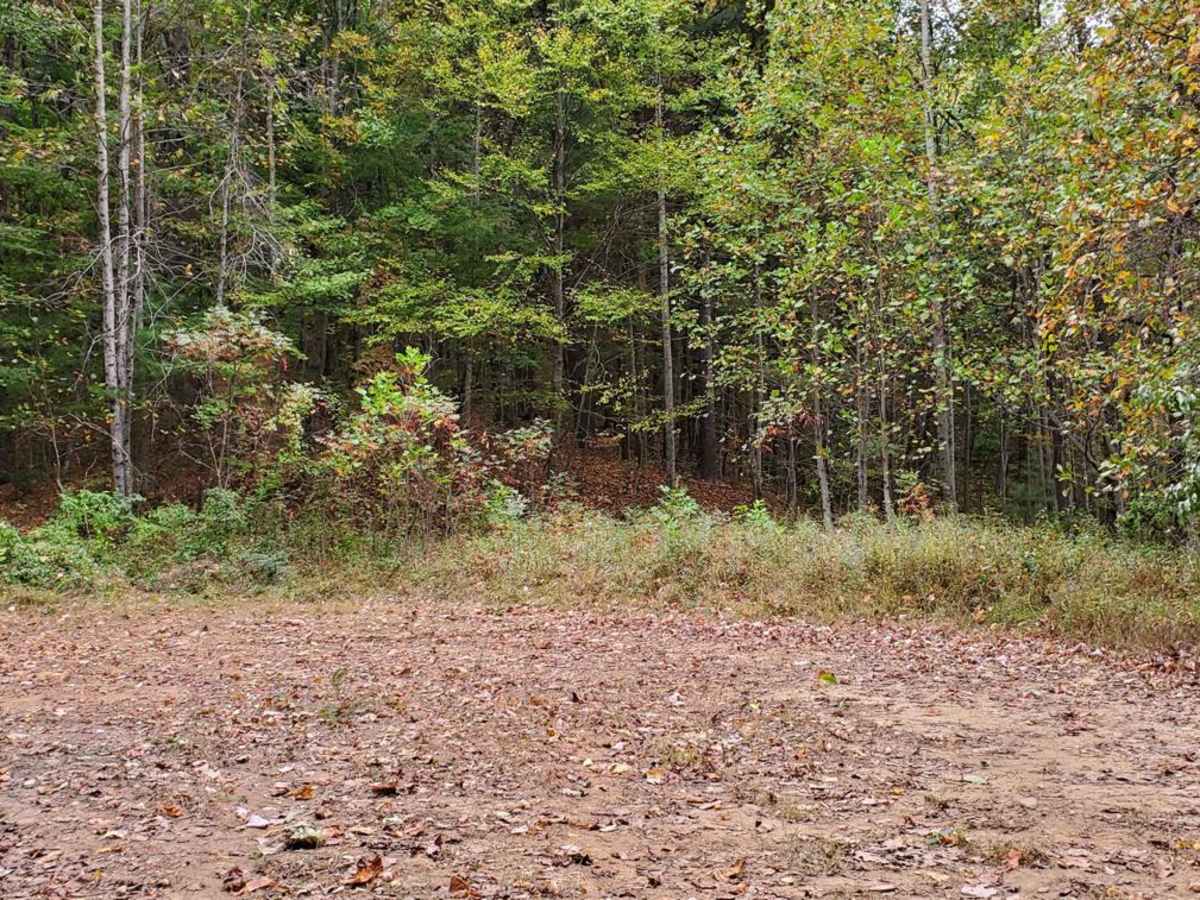 Williams Gap - FSR 346 photo 6