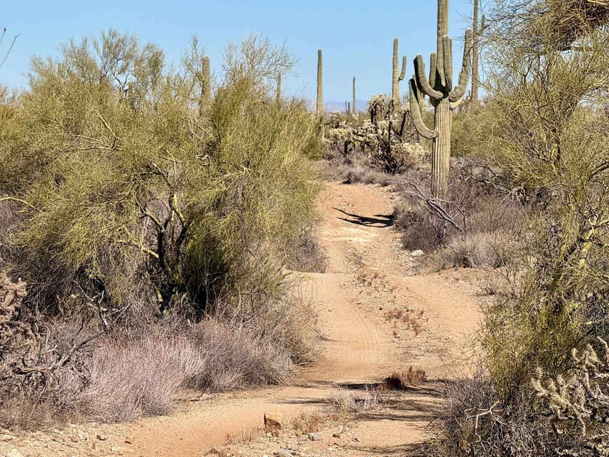 Quail Run photo 4