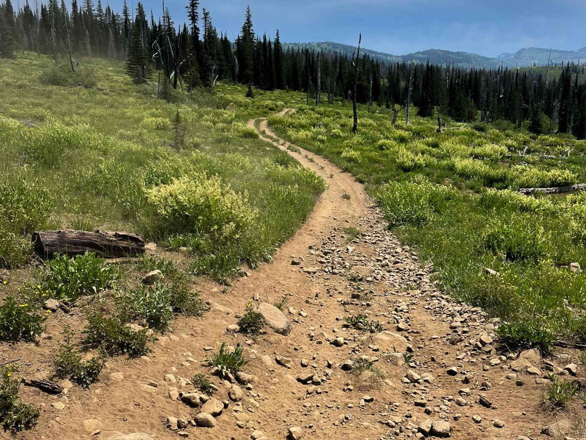 Elk Lake ATV photo 5