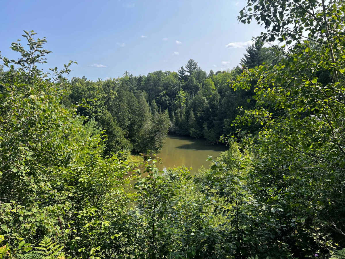 Jungle Trail photo 5