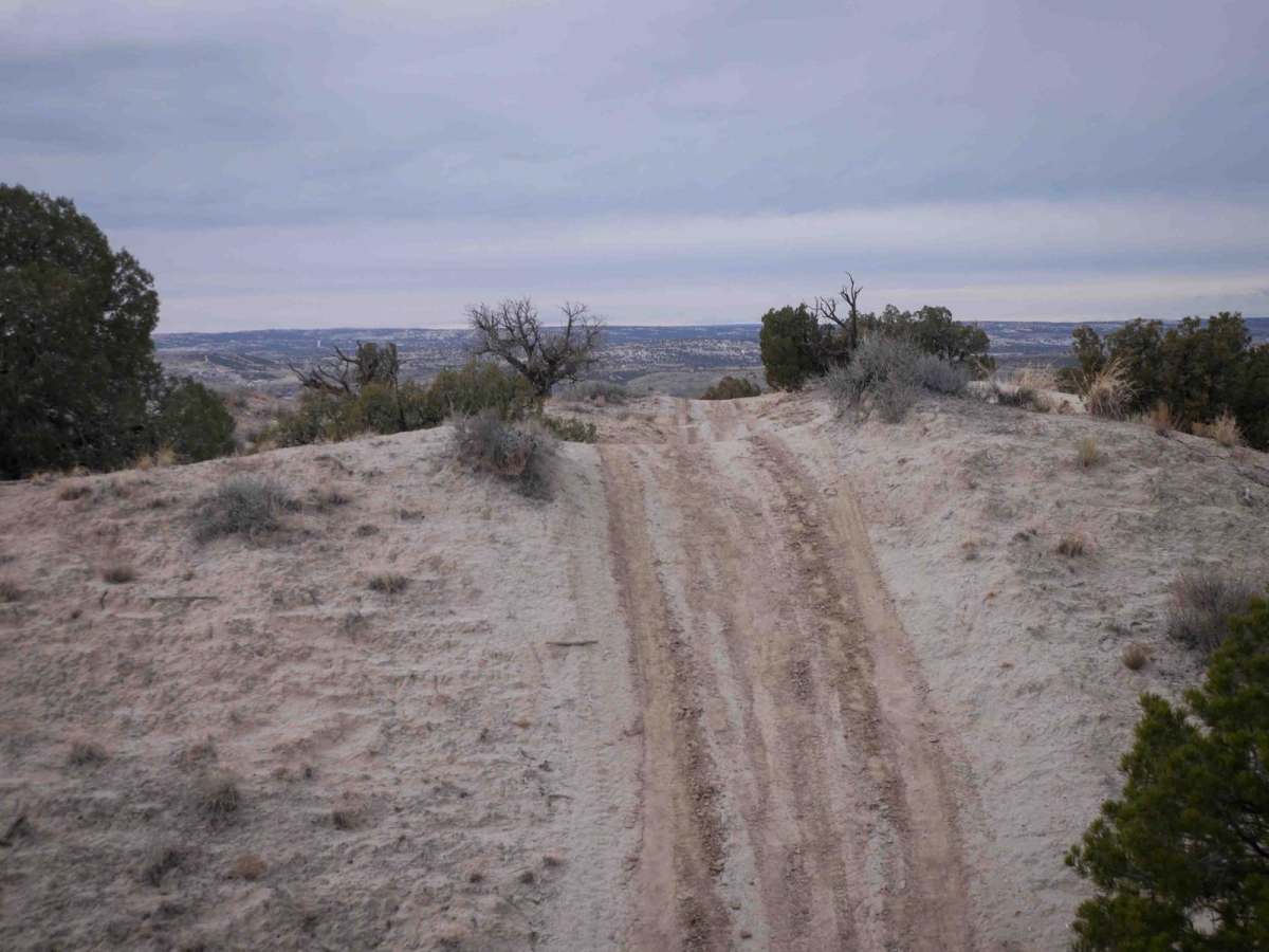 Rhinos Ridge photo 6