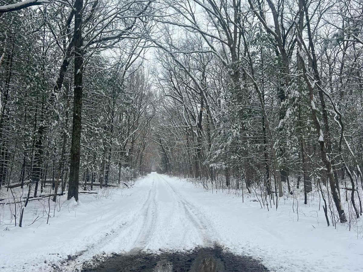 Horseman's Trail photo 4