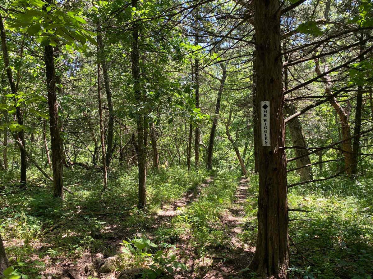 Mr. Wiggles trail photo