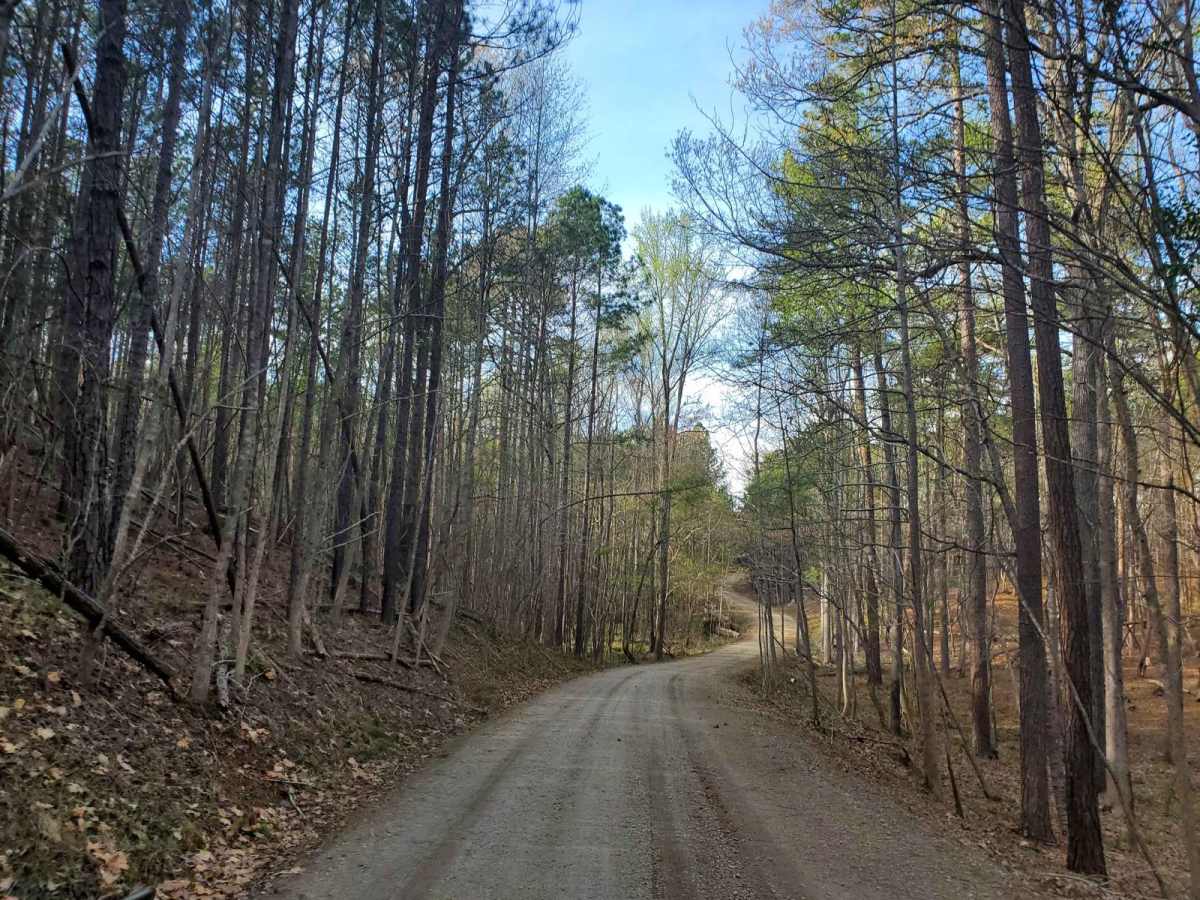 Hosannah Road (643-643A) photo 5