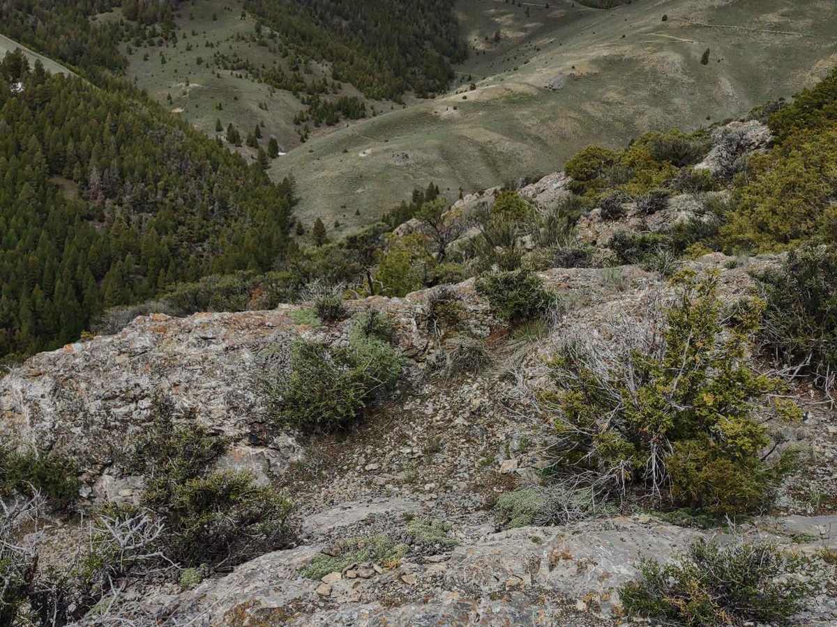 Taylor Canyon trail photo