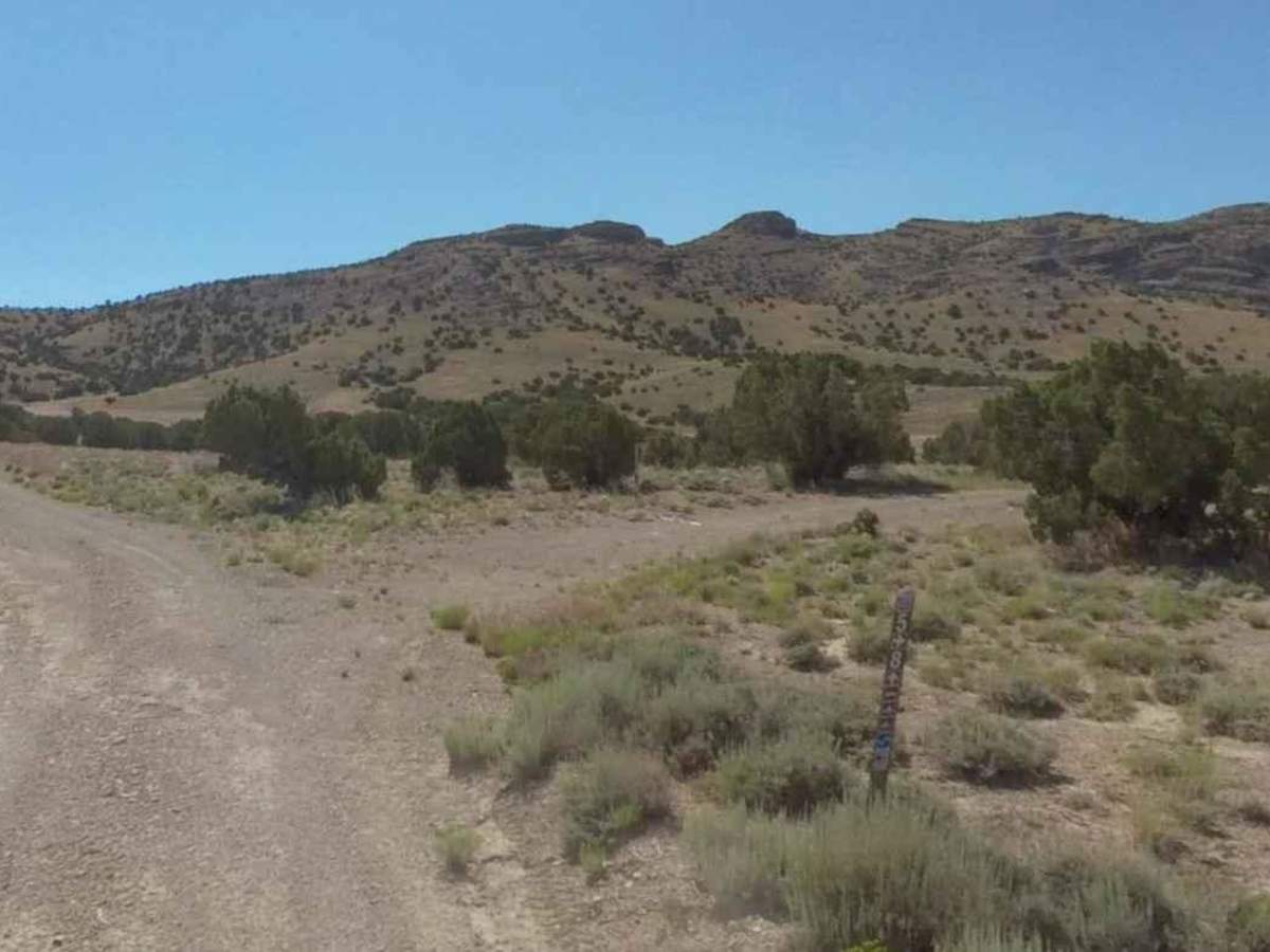 Conger Mountain OHV Route 5 photo 4