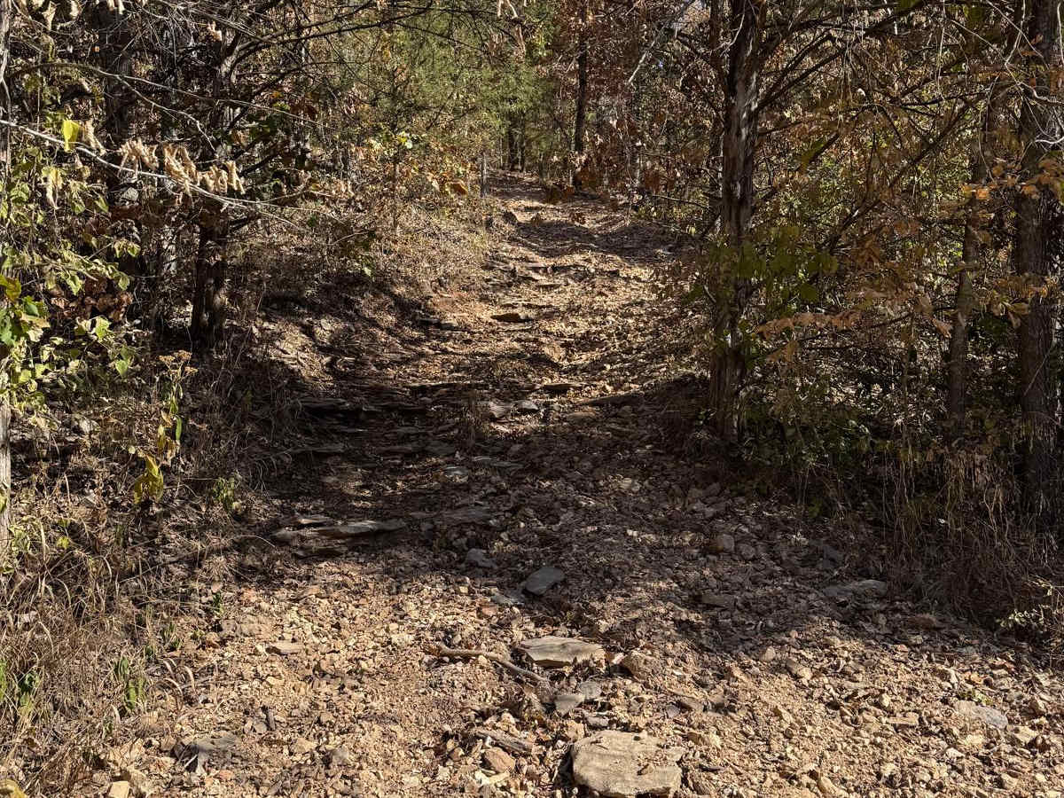 Yellow 59 trail photo