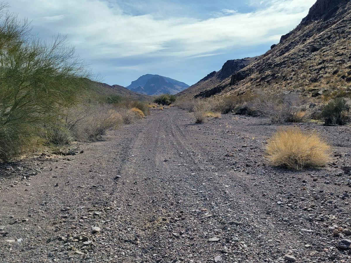 Wilderness Edge photo 5