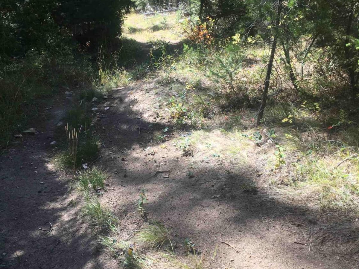 SCOP-12 photo 2