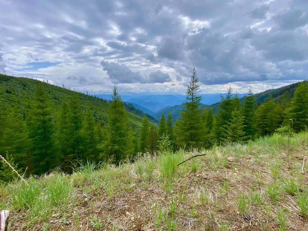 Upper Idaho Gulch photo 2