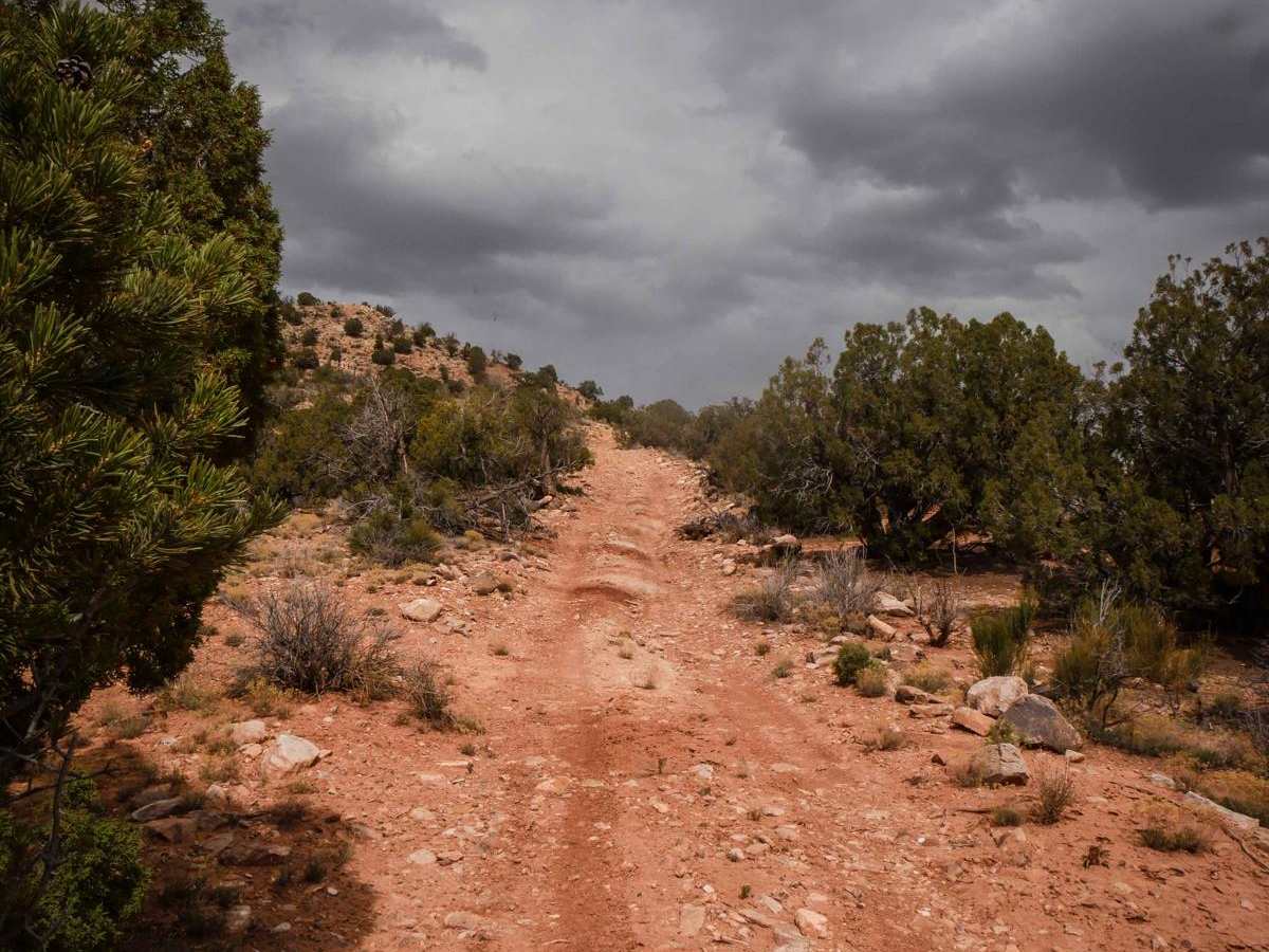 Fence Trail photo 3