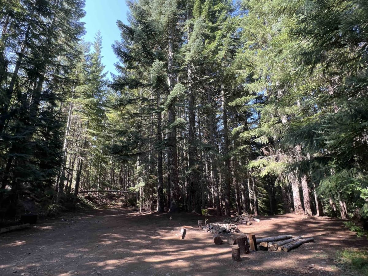 Fisher Point 1164 photo 4