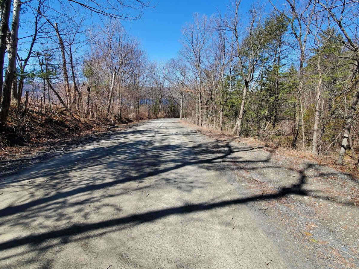 Carpenter Road photo 4