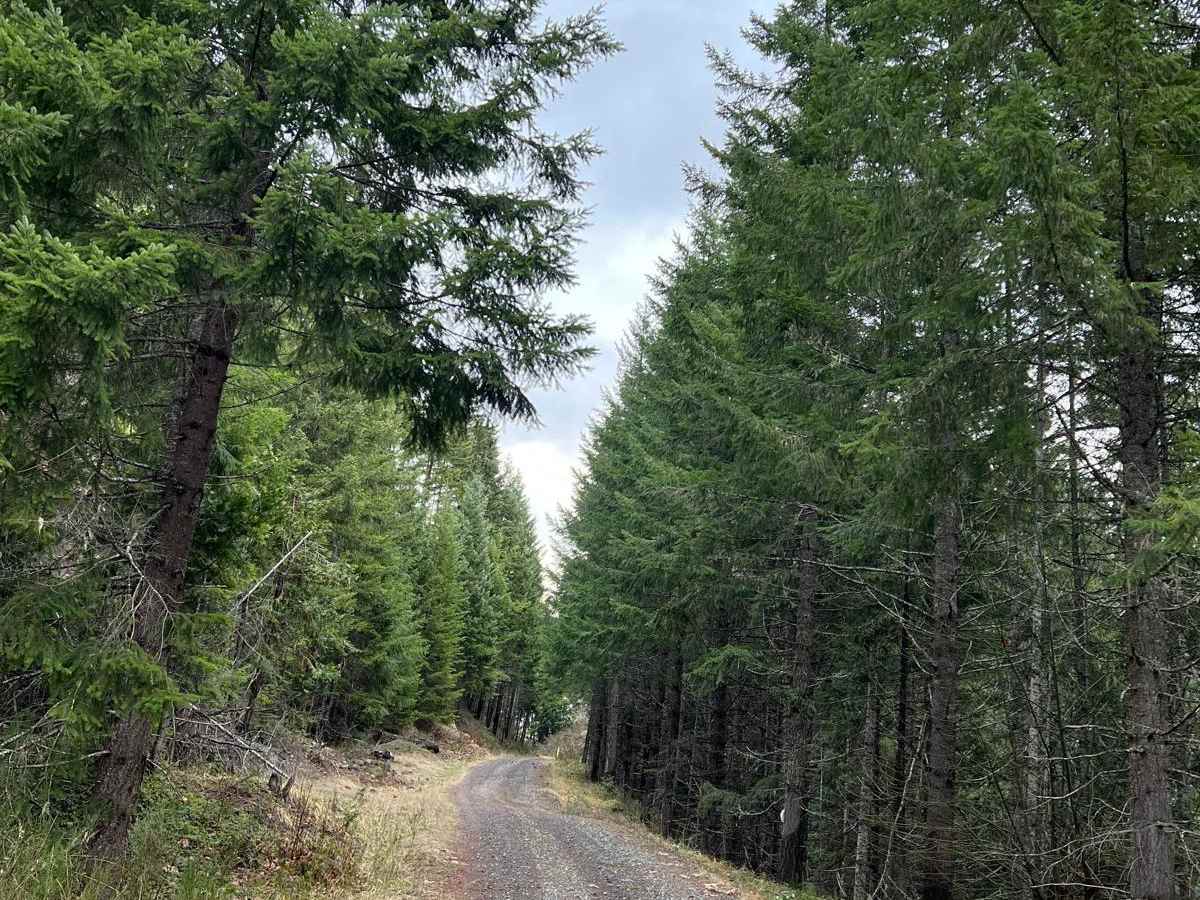 Deception Butte photo 6