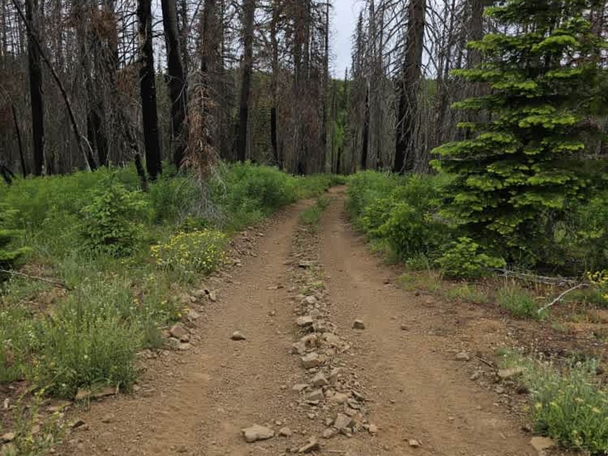 North to South Trail photo 6