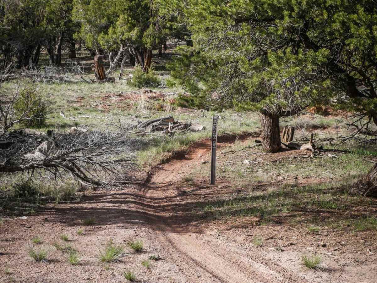 Ledge Trail photo 2