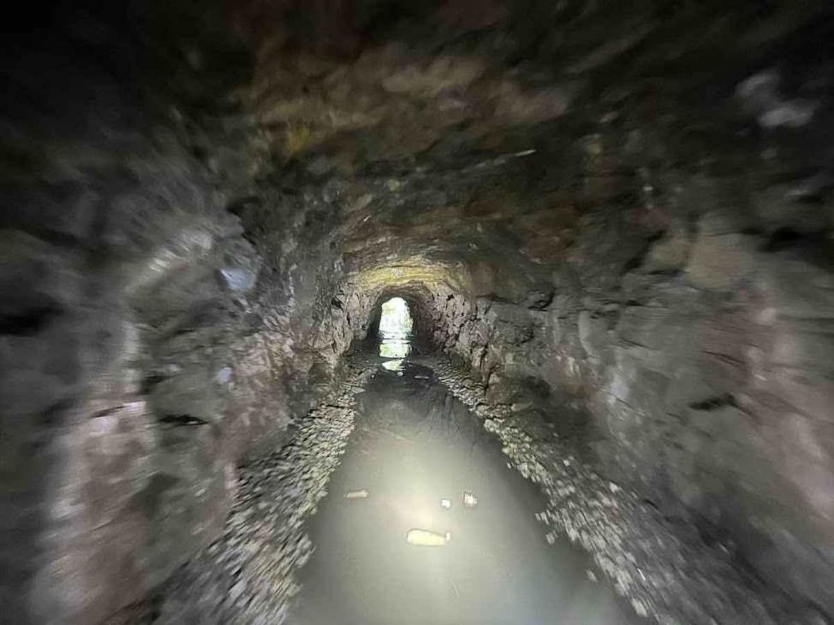 32 Green trail photo