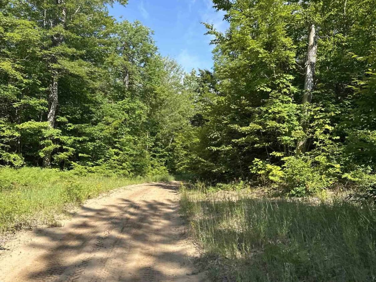 County Road 371 photo 3