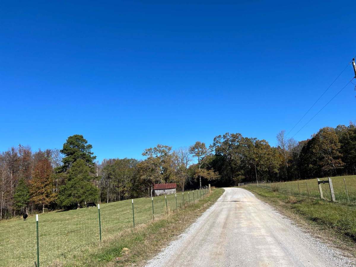 Beulah Road - FS 202 photo 3