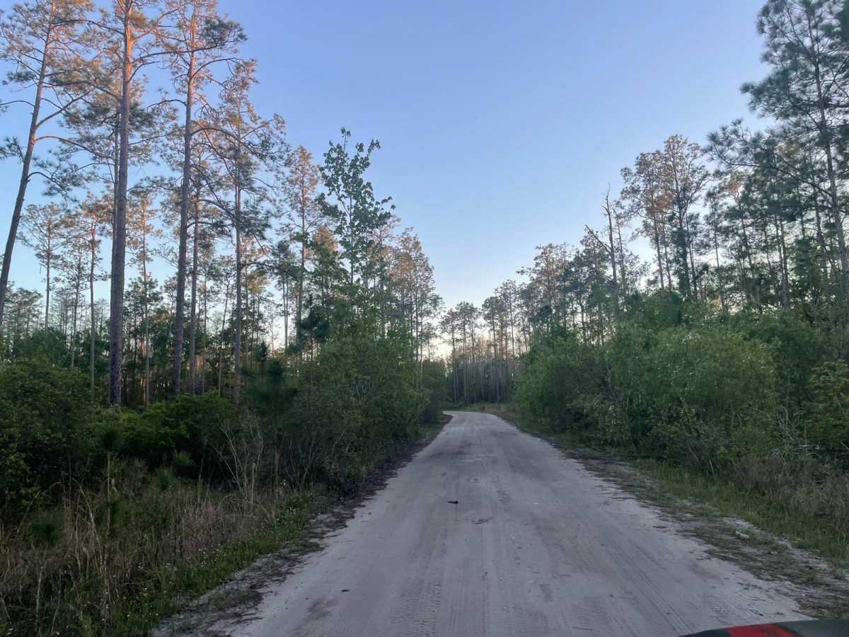 Richloam Wildlife Area: Center Grade Road photo 5