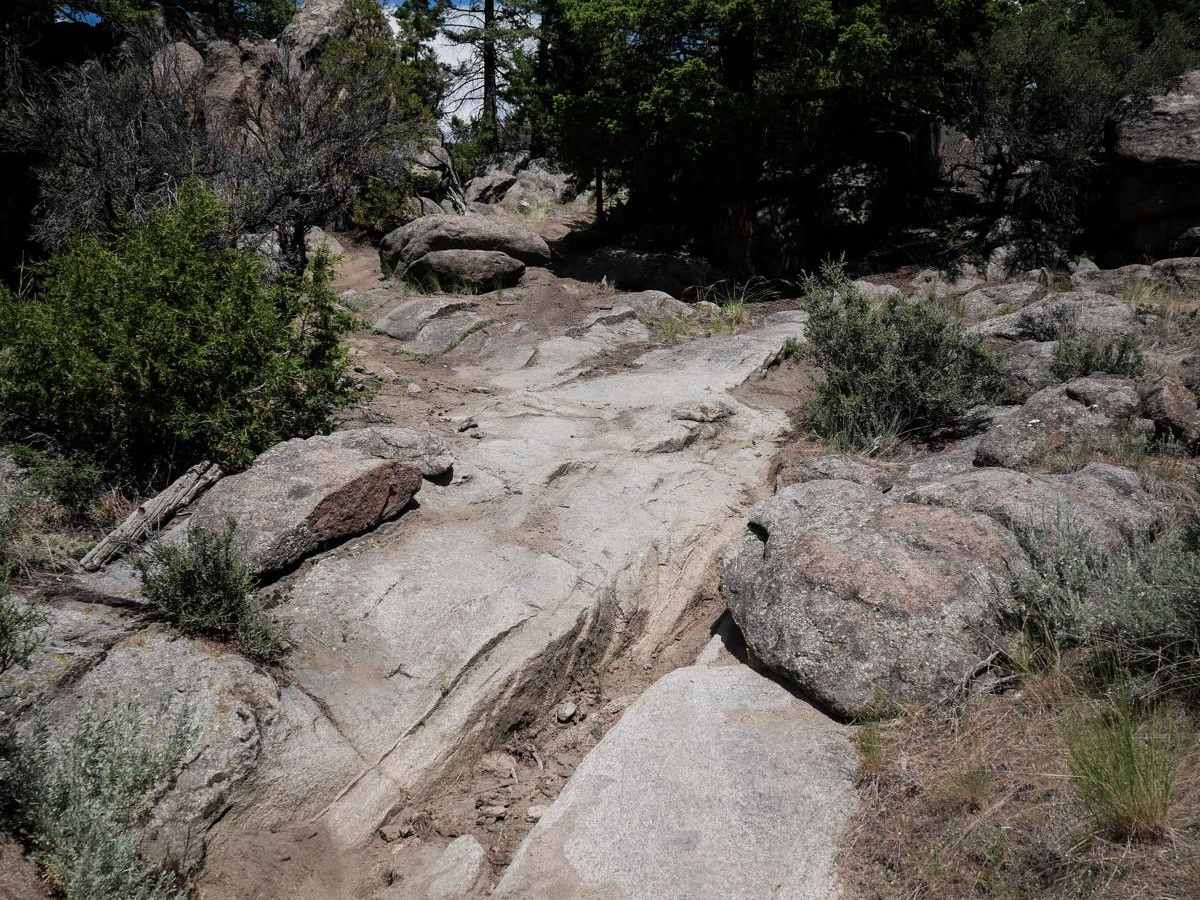 BLM 20 photo 2