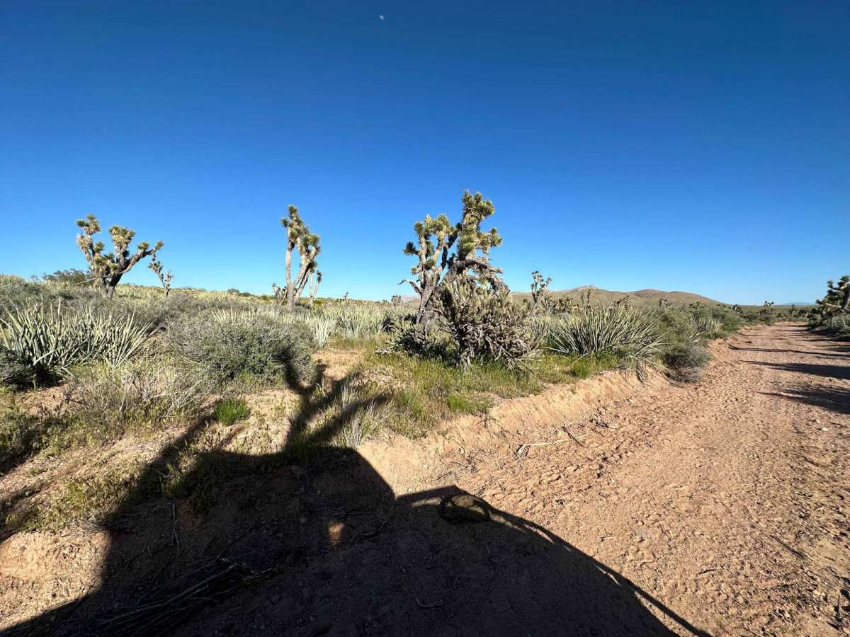 NV-UT State Line Road 020 photo 4