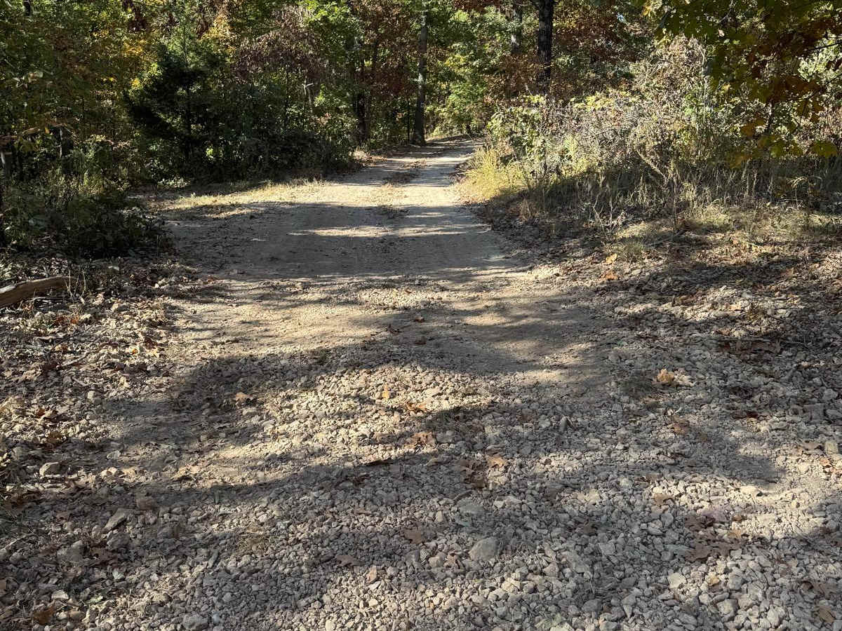 Green 57 trail photo