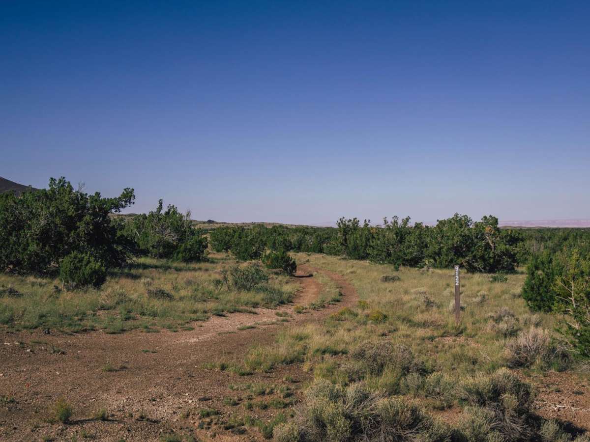 9150 Soup trail photo