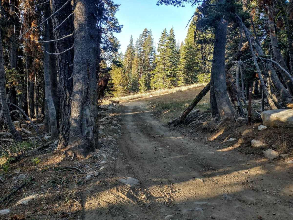 Bear Lake Trail photo 3