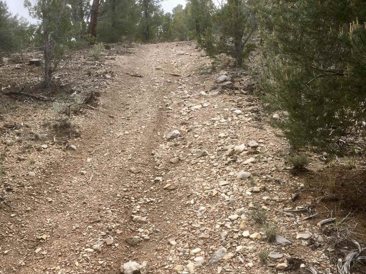 Legacy ATV Trail photo 2
