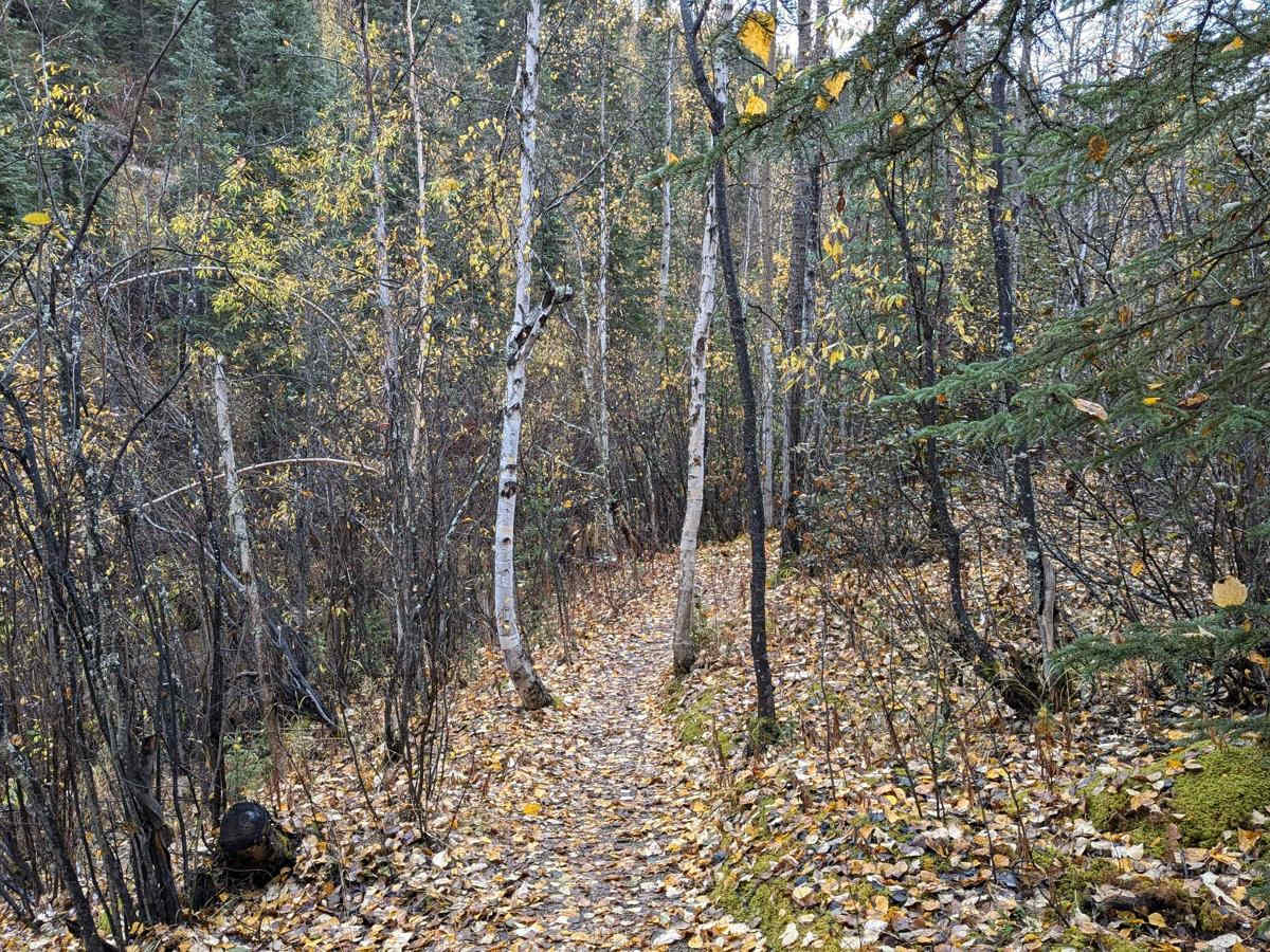 Andy Baily lake trail photo 2