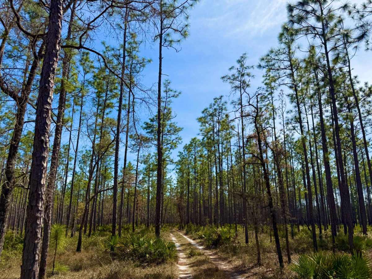 FS-350-B trail photo