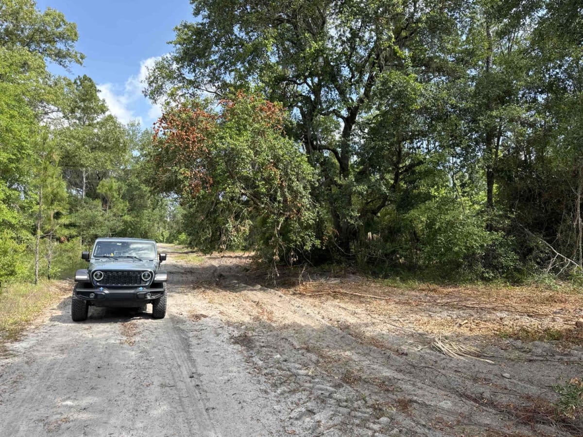 Jeep Trail - Grove Park South WMA trail photo