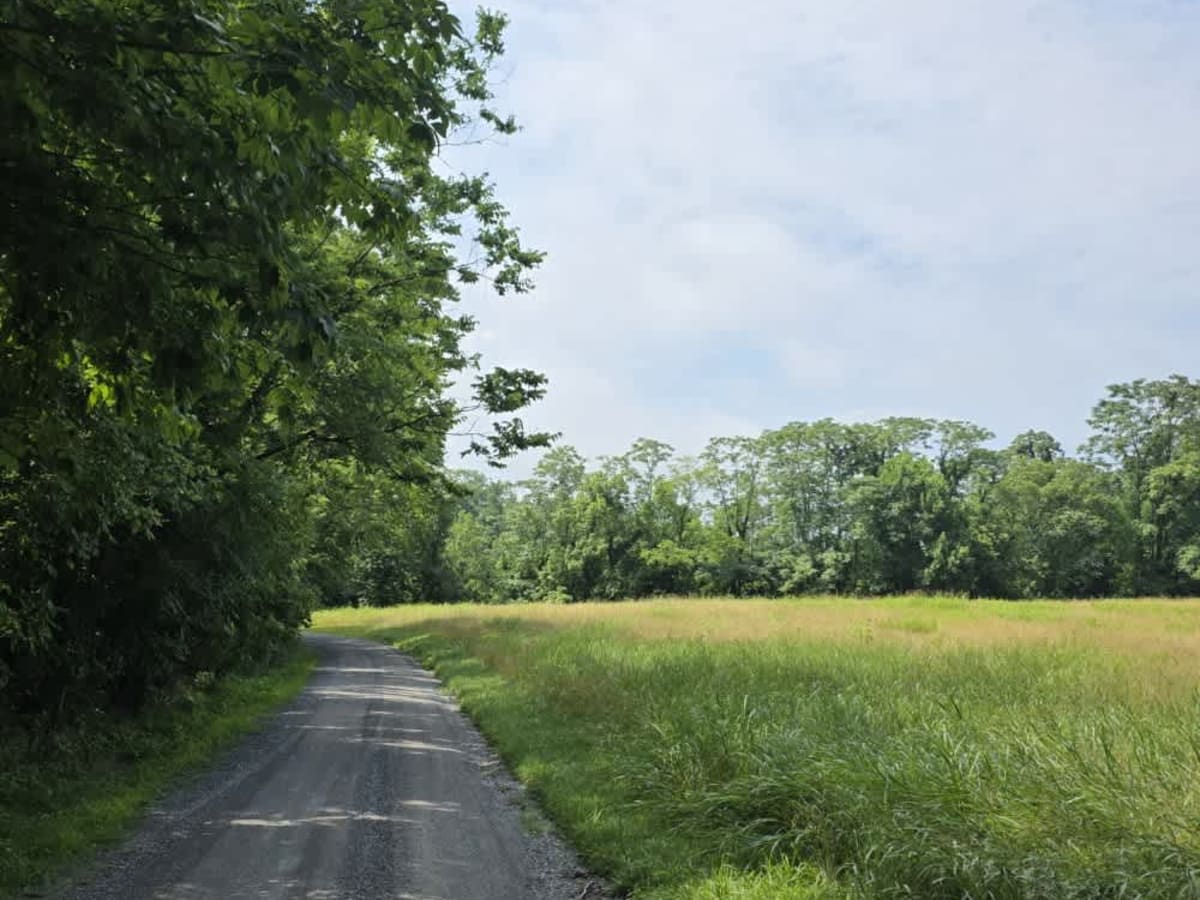 Sullivan Hollow Road - Macon County Tour photo 4