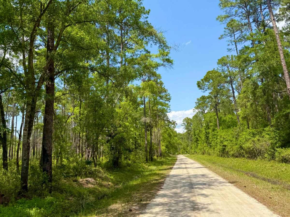 Sandy Beach Road trail photo