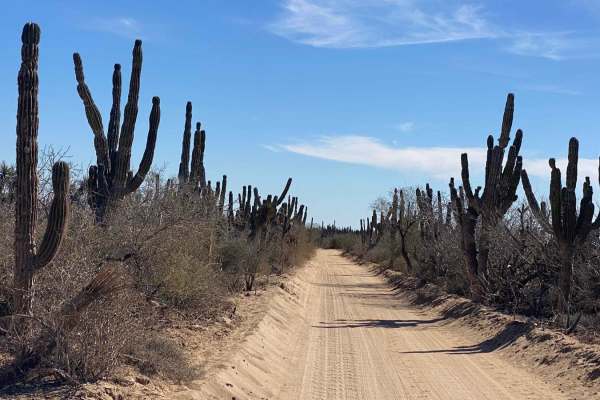 High Road Ejido Meliton
